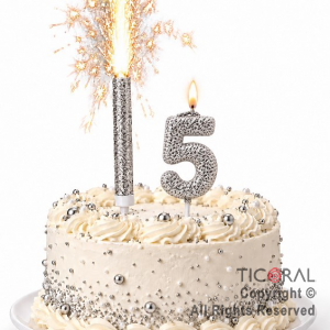 SET BENGALA Y VELA NUMERAL NUMERO 5 CON GIBRE PLATA